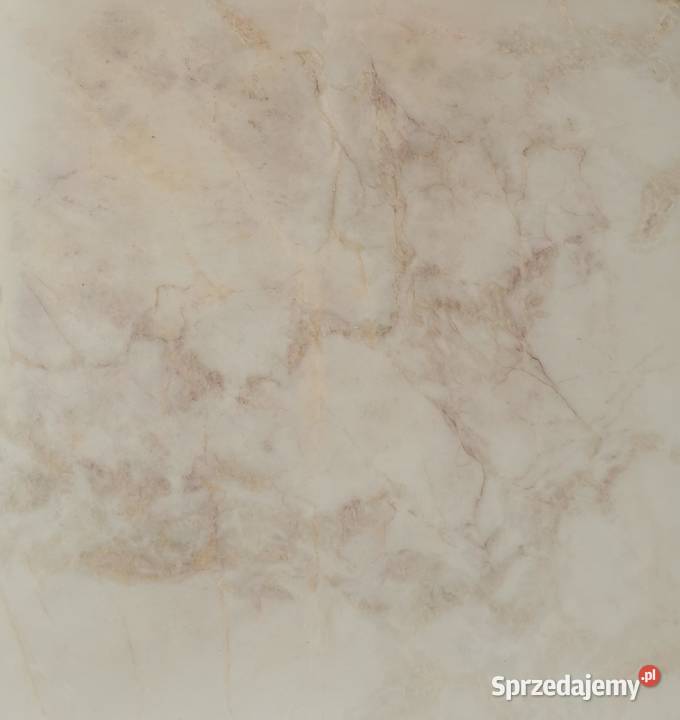 Marmur BIANCO RHINO 80x80x2 poler Płytki podłogowe Przemyśl