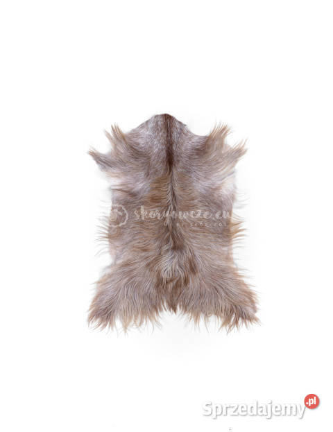 Skóra z kozy kozia skóra kozia skóra dekoracyjna małopolskie Szaflary