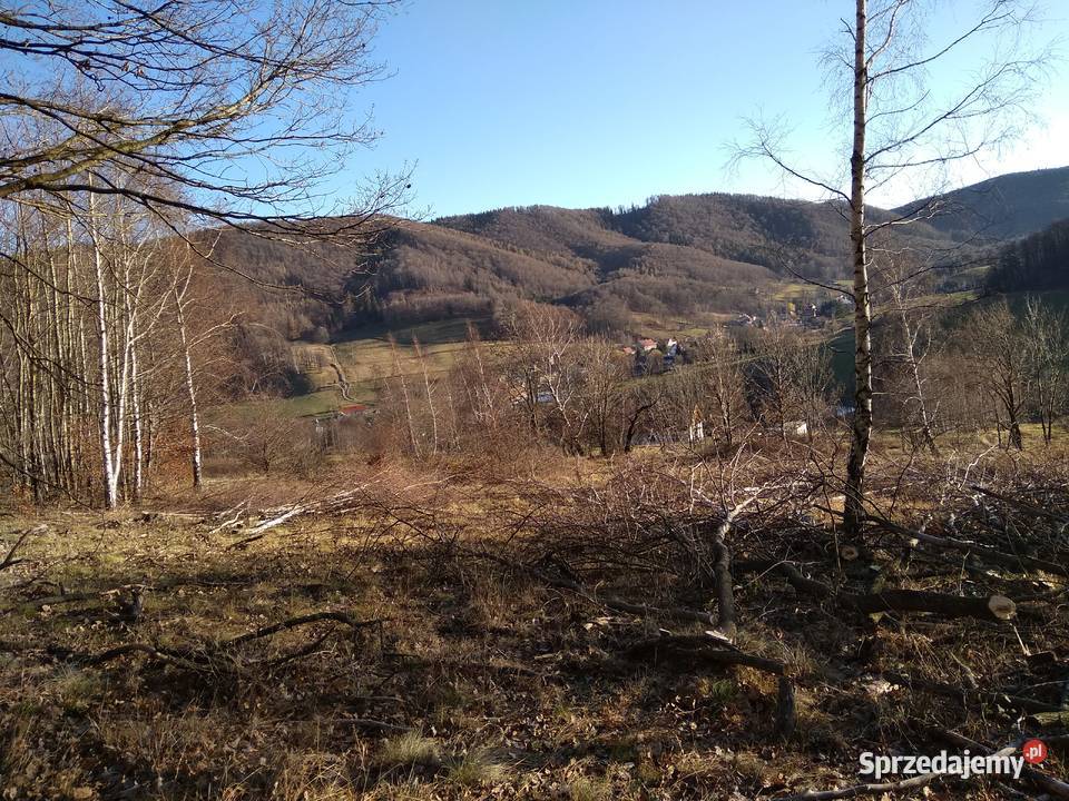 Sprzedam zamienie 67zł/m2 Pieszyce