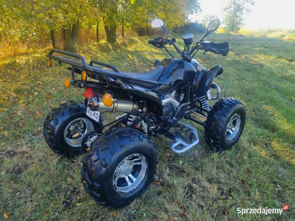 Quad EGL LYDA 250cc 41R Ciecz Duża Rama 250cm3