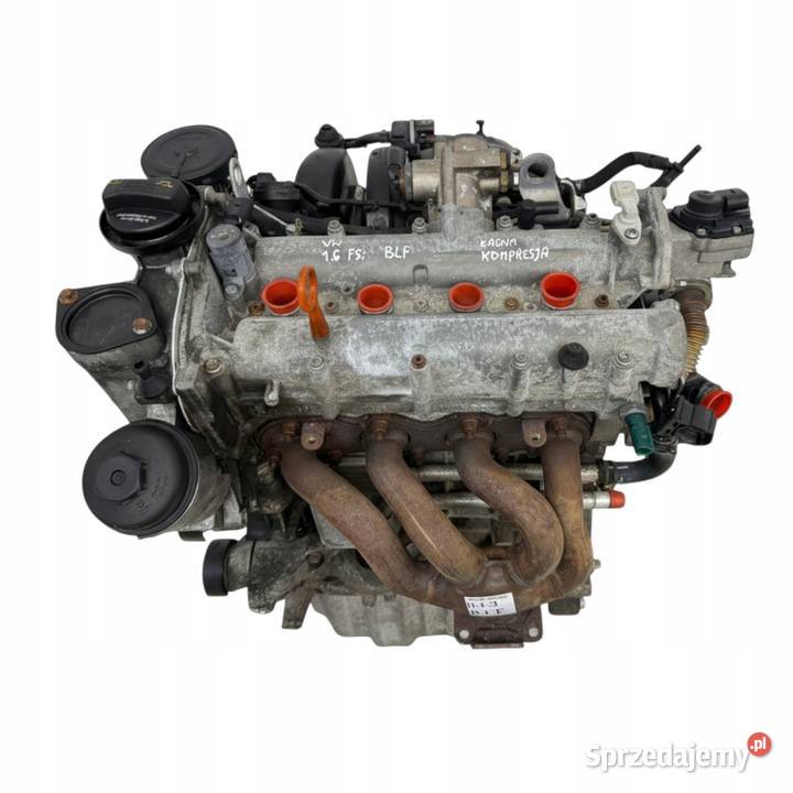 SILNIK BLF Audi A3 II 8P Skoda Octavia II 16 FSI Chełm