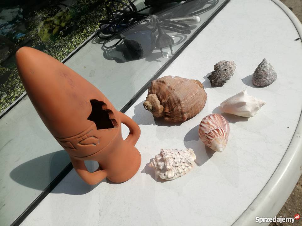 100l akwarium z akcesoriami Stargard