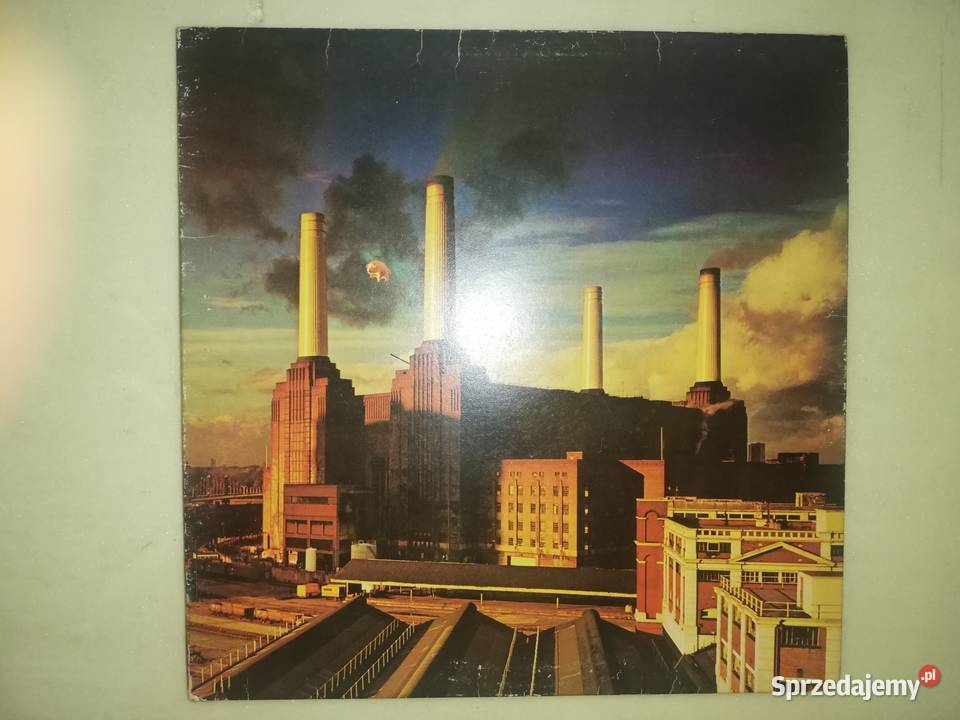 Pink Floyd winyle z kolekcji 3 i więcej Jelenia Góra
