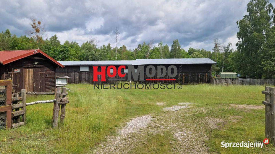 Posiadłość miłośników koni 200m2 Łupki sprzedam