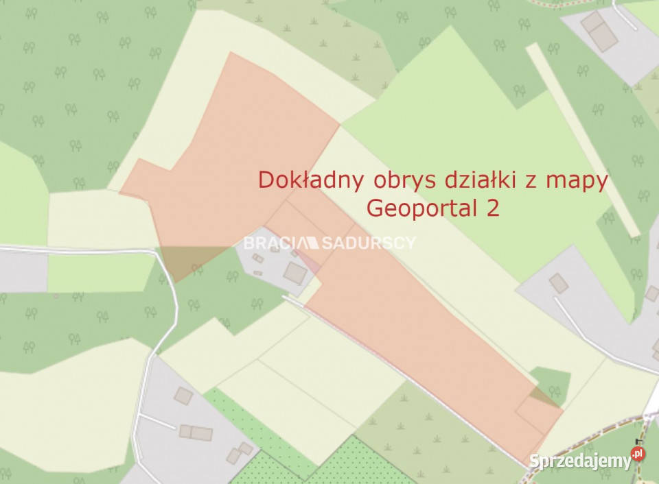 Grunt sprzedam 22110m2 Płaza Podlas małopolskie