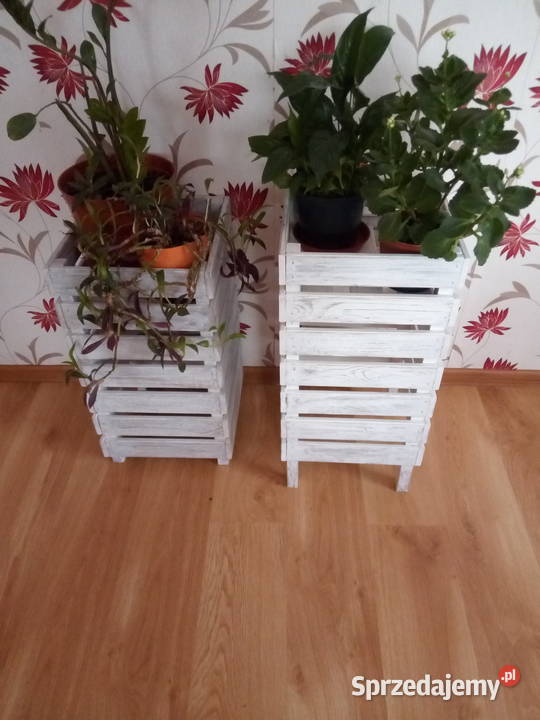 Kwietniki Rośliny Ogród Leżajsk