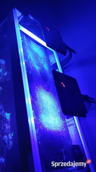 Akwarium Morskie 200l 100x40x50 lubuskie Czerwieńsk sprzedam