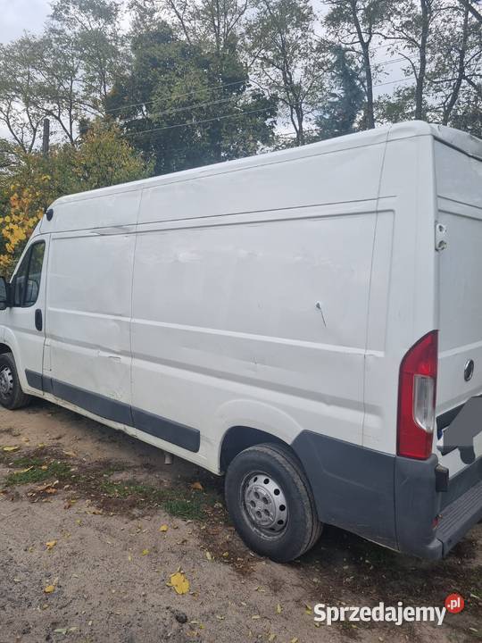 Sprzedam busa diesel Sulechów sprzedam