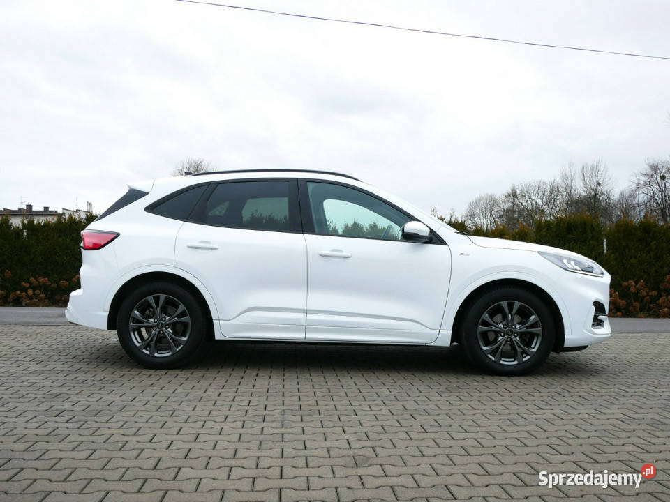Ford Kuga 15 EcoBlue 120 Eu6 StLine Automat 8b Goczałkowice-Zdrój sprzedam