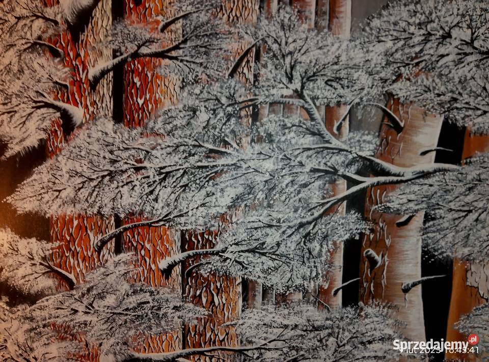 Sosnowy sen akryl 80 x 80