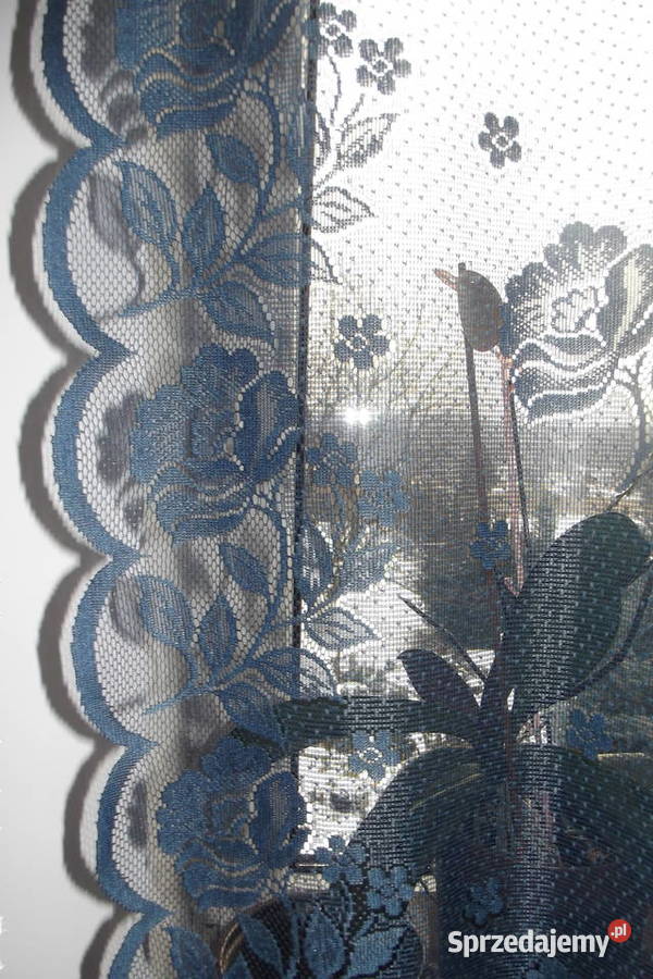 Mała firanka granat 110165 Piekary Śląskie