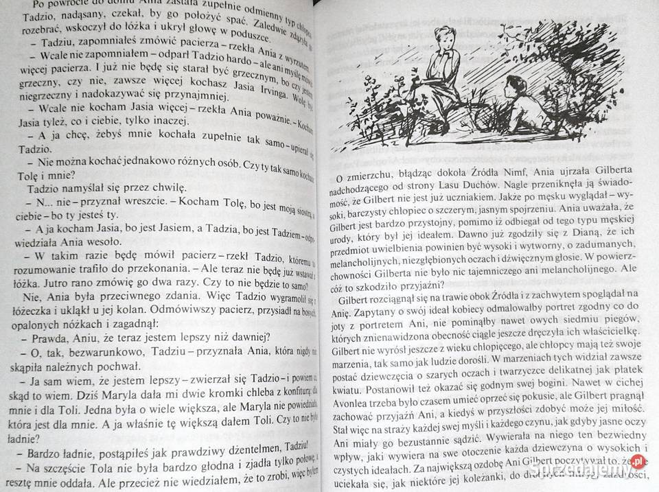 Ania z Avonlea Lucy Maud Montgomery Rok wydania 2001 Chełm