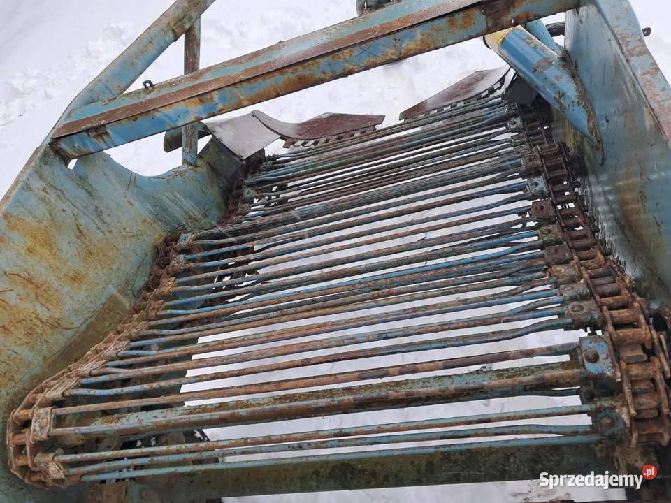 Kopaczka elewatorowa do ziemniaków dwurzędowa Piaski