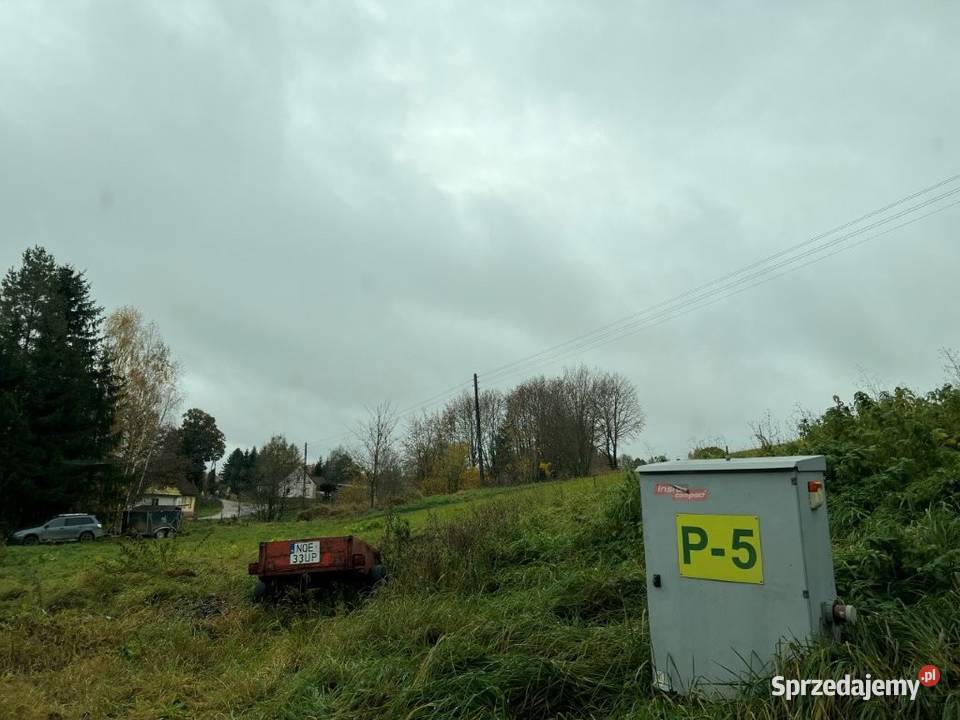 Syndyk sprzeda nieruchomość położoną w Golubkach Golubki