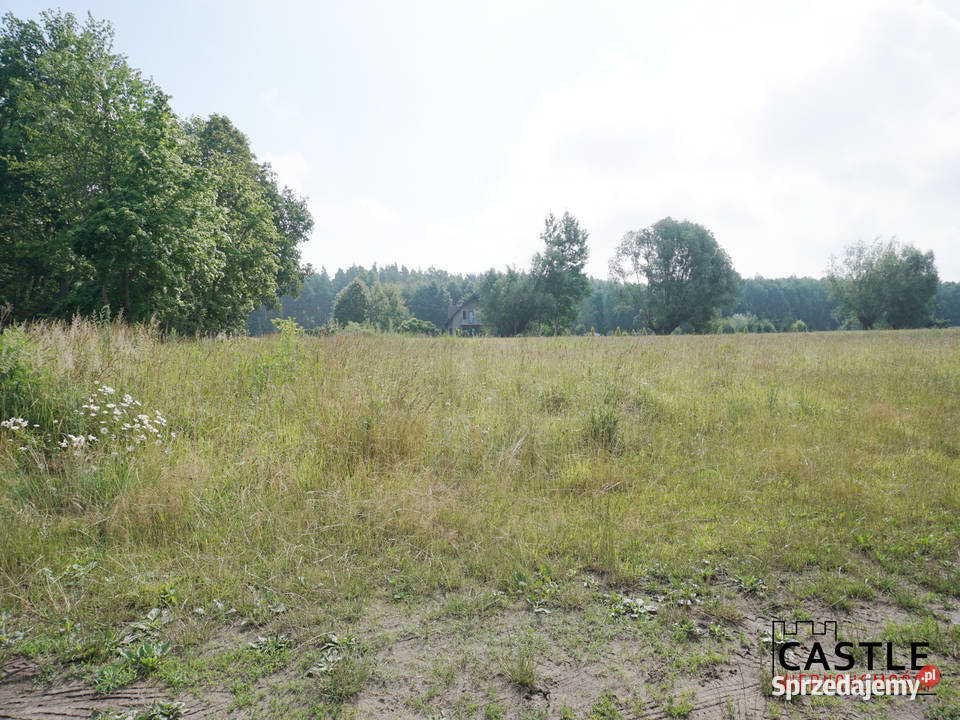 Mikoszewo I 3 działki I która najbardziej Ci