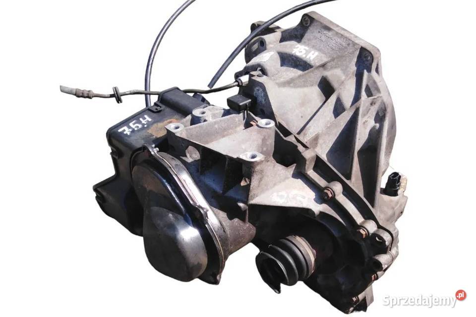 BEZPIECZNY ZAKUP SZYBKA DOSTAWA 75H Włoszczowa