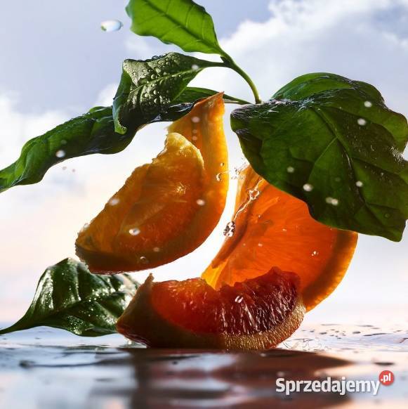 Perfumy męskie Bvlgari Rain Essence świeży Dla mężczyzn Perfumy i wody Białystok