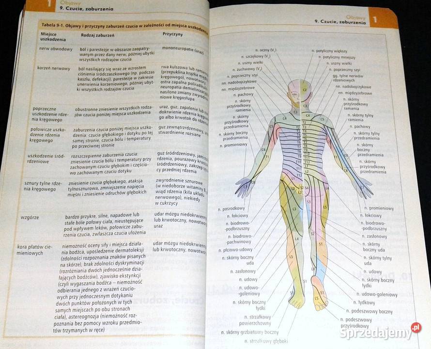 Choroby wewnętrzne Andrzej Szczeklik Piotr Chełm sprzedam