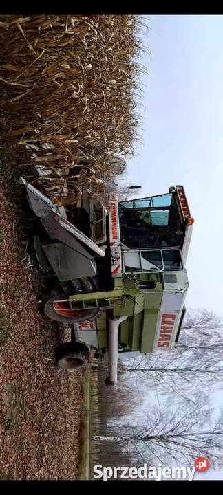 Claas commandor 114cs z przystawka do kukurydzy Jagodniki