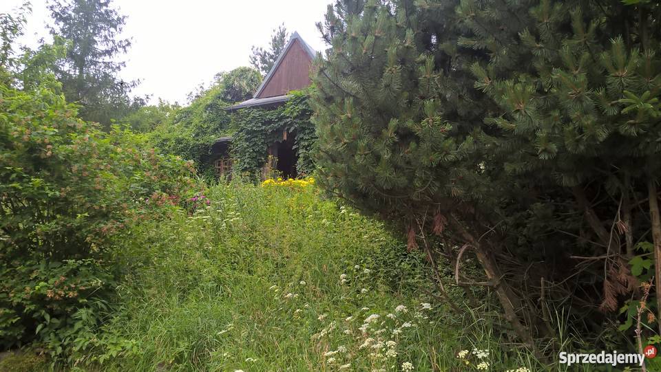 Dom z drewna w Górach Sowich 160m2 Jugów sprzedam