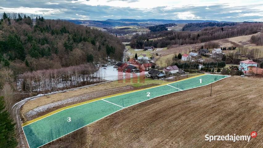 Grunt sprzedam 1300m2 Wielopole Skrzyńskie