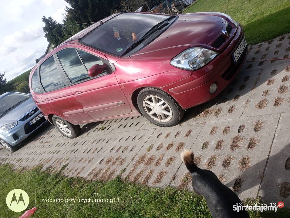 Sprzedam Renault Scenic nieuszkodzony