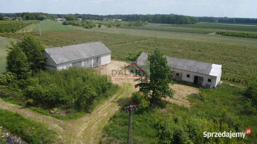 Do sprzedaży grunt Janów 16900m2 mazowieckie