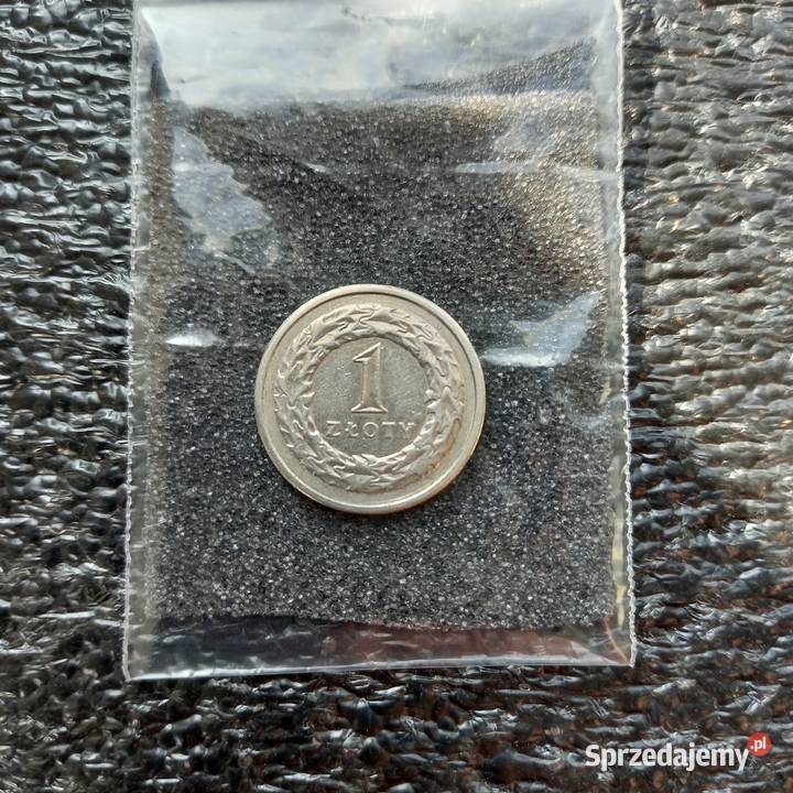 1 złoty 1991 sprzedam
