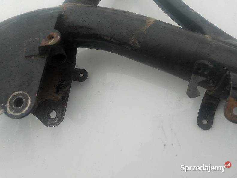 Rama komar sztywniak warmińsko-mazurskie Milejewo