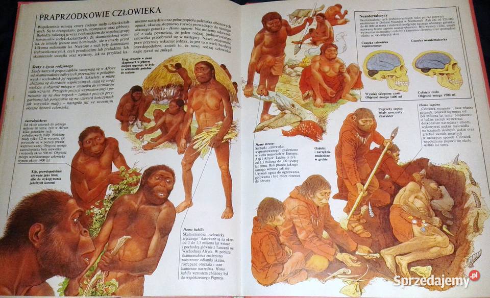 Życie prehistoryczne Steve Parker