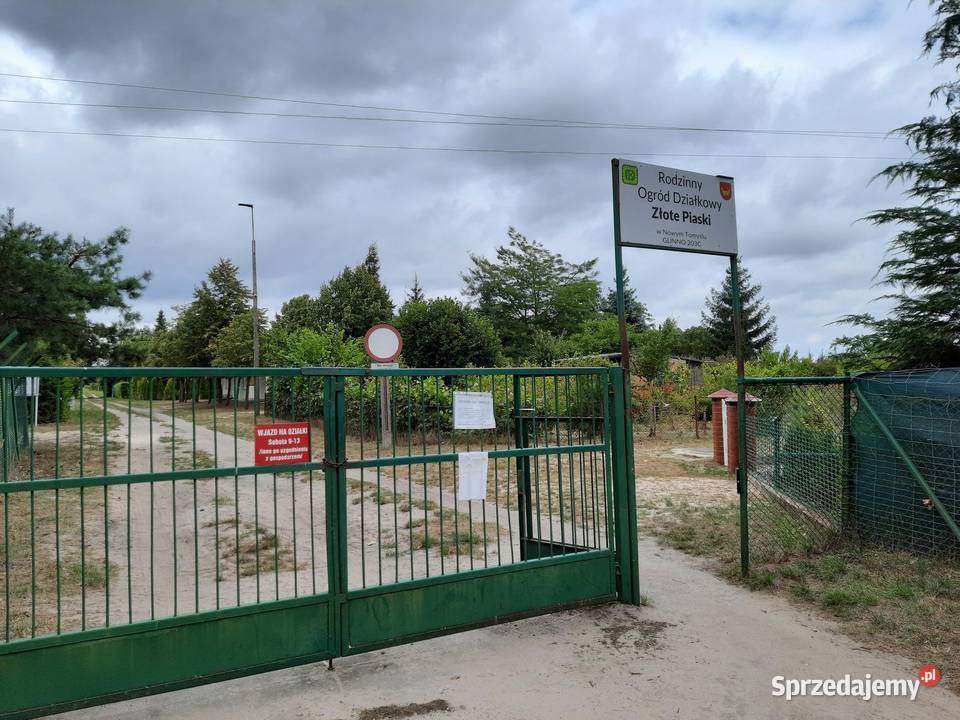 Działka ROD Złote Piaski Glinno k Nowego Tomyśla Nieruchomości Nowy Tomyśl sprzedam