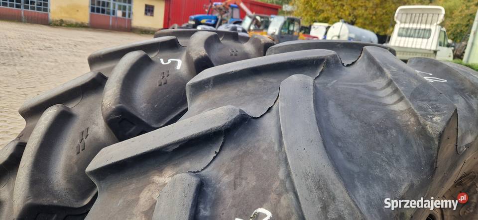 169r30 16930 42085r30 Alliance Firestone 70 sprzedam