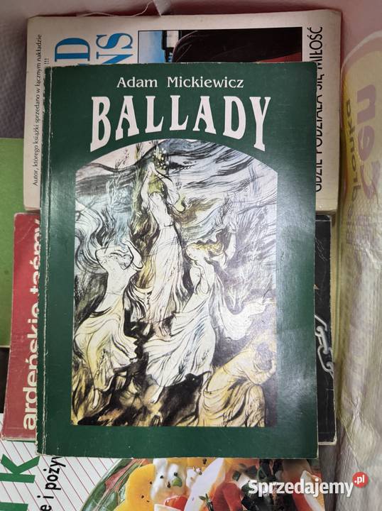 Biblioteczka skłądająca sięz ponad 150 tytułów