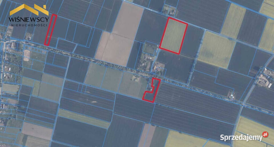 445 ha gruntów rolnych Palczewo Sprzedaż pomorskie