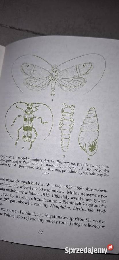 II wydanie botaniczno entomologiczne PWWP 1987 wielkopolskie