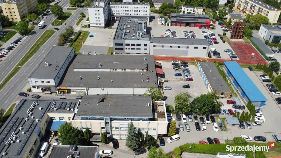 Lokal Kielce Sandomierska 25085m2 Wynajem