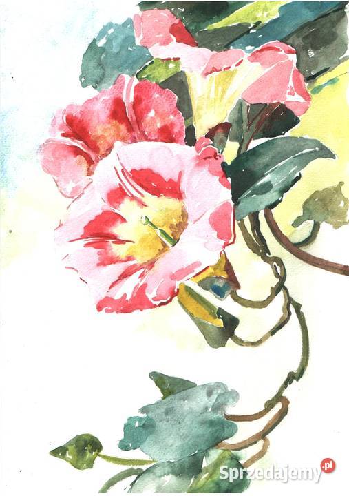OBRAZ akwarela KWIATY