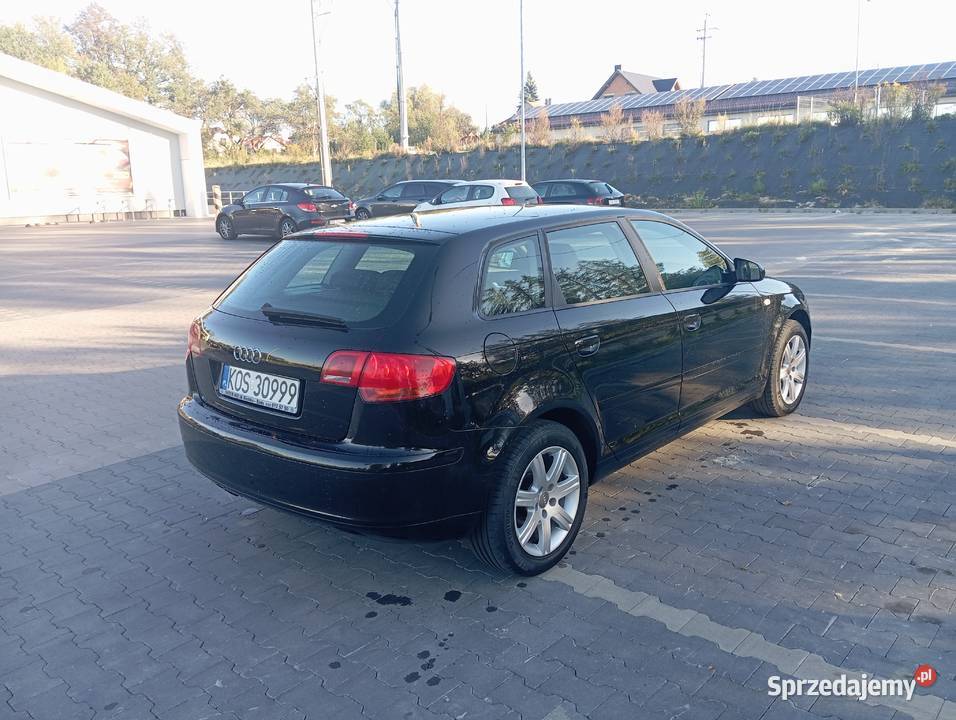 Audi A38P 19 TDI105 2005 r 197 5 DrzwiSuper stan klimatyzacja Bulowice