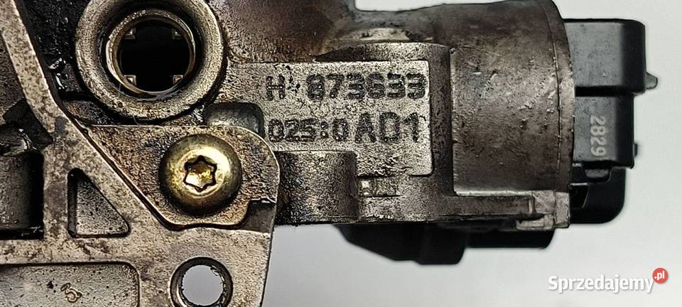 PRZEPUSTNICA RENAULT CLIO II