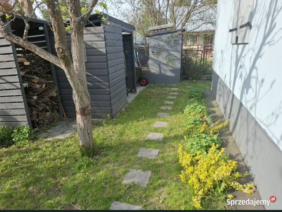 Piękna działka ROD w Juszkowie 360m2 Sprzedaż Juszkowo