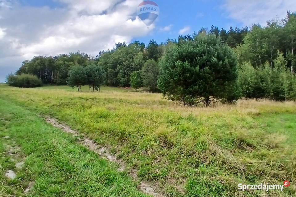 Działka 2100mwydana WZ Stara Wieś Grunty i działki