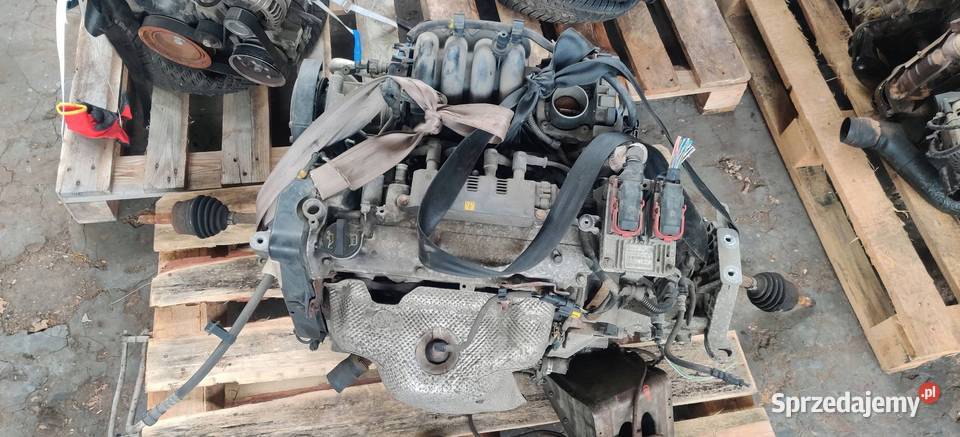 FIAT GRANDE PUNTO SILNIK KOMPLETNY 14B śląskie Rudziniec