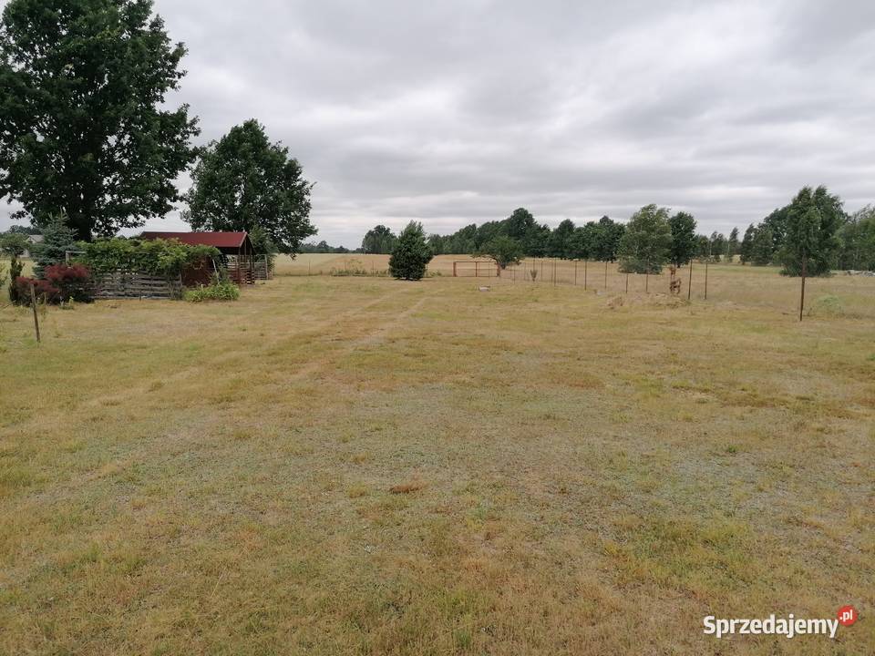 Działka z WZ 11 664 m Aleksandrów gm Jakubów 349 sprzedam