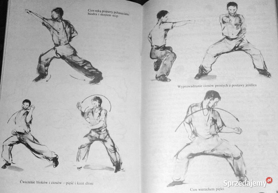 Moc Erniego Stanisław Tokarski lubelskie Chełm sprzedam