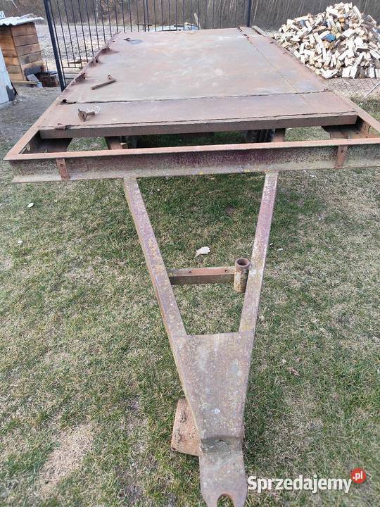 Rama rozrzutnika mazowieckie