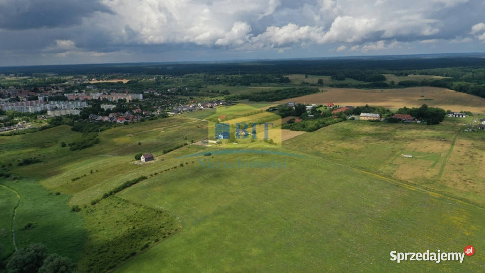 działka 195 ha na obrzeżach Złocieńca polna Sprzedaż Złocieniec