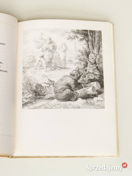 Lis Przechera Johann Wolfgang Goethe twarda z obwolutą Kraków