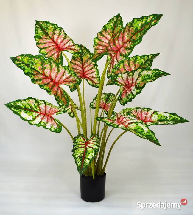 Alocasia sztuczna Tiger Taro Pink ładne drzewko Wąbrzeźno
