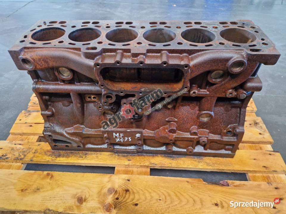 Blok silnika Massey Ferguson 7475 6480 5475 Byków