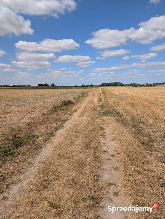 Działka inwestycyjna w Gałowie 3000m dolnośląskie Gałów